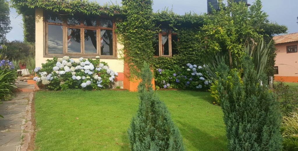 Cabanas En Mazamitla Betito Villa Bagian luar foto